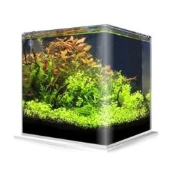 Cuve Nue AMTRA NanoTank 20 Dimensions 25 X 25 X 30 Cm 18L En Verre 4 Mm