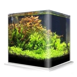 Cuve Nue AMTRA NanoTank 30 L Dimensions 30 X 30 X 35 Cm En Verre 5 Mm