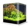 Cuve Nue AMTRA NanoTank 60 L Dimensions 38 X 38 X 43 Cm En Verre 5 Mm