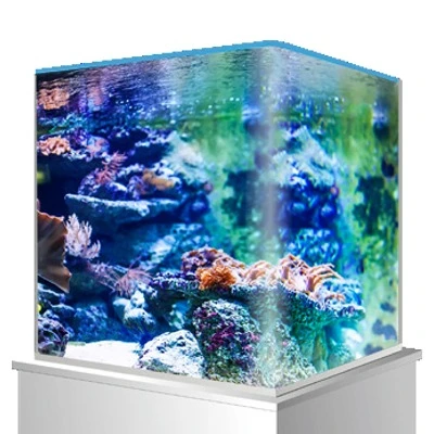Cuve Nue AMTRA NanoTank 20 Dimensions 25 X 25 X 30 Cm 18L En Verre 4 Mm 2 Cuve Nue AMTRA NanoTank 20 Dimensions 25 X 25 X 30 Cm 18L En Verre 4 Mm – Image 2