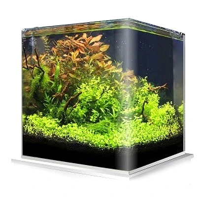 Cuve Nue AMTRA NanoTank 60 L Dimensions 38 X 38 X 43 Cm En Verre 5 Mm 1 Cuve Nue AMTRA NanoTank 60 L Dimensions 38 X 38 X 43 Cm En Verre 5 Mm