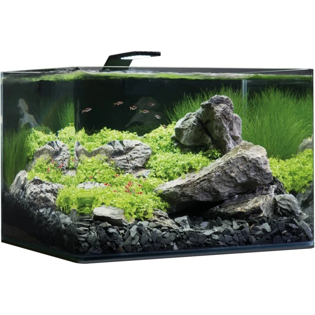 DENNERLE Nano Scaper's Tank 35 L Cuve Nano-aquarium Nue Dimensions 40 X 32 X 28 Cm 2 DENNERLE Nano Scaper's Tank 35 L Cuve Nano-aquarium Nue Dimensions 40 X 32 X 28 Cm – Image 2