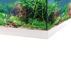 EHEIM AquaStar 54 LED Blanc Aquarium équipé 60 Cm 54L Disponible Avec Ou Sans Meuble -AquaVie Promos Magasin eheim aquastar 54 led blanc aquarium equipe 60 cm 54l disponible avec ou sans meuble 3