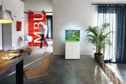 Aquarium JUWEL Lido 120 LED 61 X 41 X 58 Cm 120L - Gris, Blanc, Noir Ou Chêne Clair, Avec Ou Sans Meuble SBX -AquaVie Promos Magasin fg juwel aquarium ambiente lido120 15 l