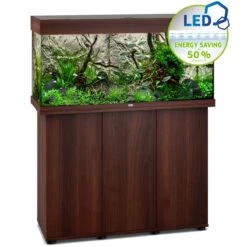 Aquarium JUWEL Rio 180 LED Dim. 100 X 41 X 50 Cm 180L - Gris, Blanc, Noir, Brun Ou Chêne Clair, Avec Ou Sans Meuble SBX -AquaVie Promos Magasin juwel rio 180 led brun avec meuble