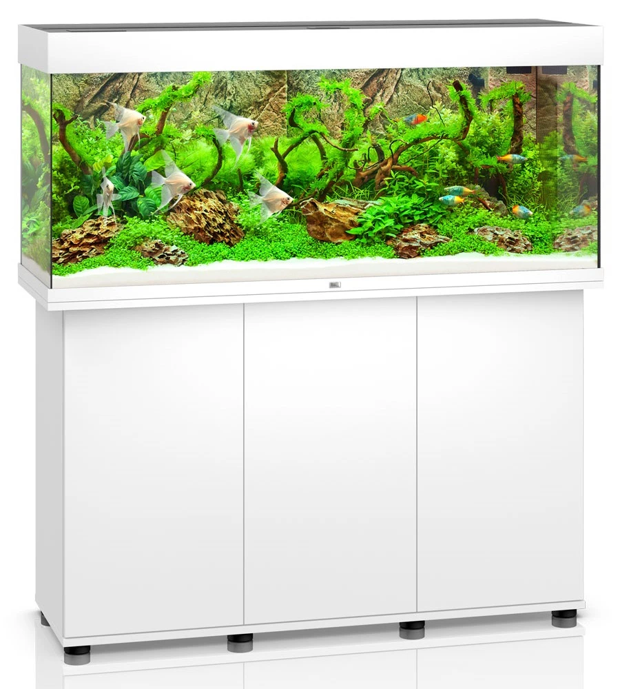 Aquarium JUWEL Rio 240 LED Dim. 121 X 41 X 55 Cm 240L - Gris, Blanc, Noir, Brun Ou Chêne Clair, Avec Ou Sans Meuble SBX 2 Aquarium JUWEL Rio 240 LED Dim. 121 X 41 X 55 Cm 240L - Gris, Blanc, Noir, Brun Ou Chêne Clair, Avec Ou Sans Meuble SBX – Image 2