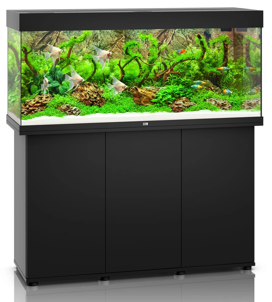 Aquarium JUWEL Rio 240 LED Dim. 121 X 41 X 55 Cm 240L - Gris, Blanc, Noir, Brun Ou Chêne Clair, Avec Ou Sans Meuble SBX 3 Aquarium JUWEL Rio 240 LED Dim. 121 X 41 X 55 Cm 240L - Gris, Blanc, Noir, Brun Ou Chêne Clair, Avec Ou Sans Meuble SBX – Image 3