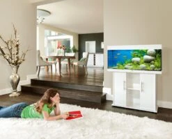 Aquarium JUWEL Rio 180 LED Dim. 100 X 41 X 50 Cm 180L - Gris, Blanc, Noir, Brun Ou Chêne Clair, Avec Ou Sans Meuble SBX -AquaVie Promos Magasin rio125