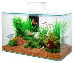 ZOLUX Aqua Clear 50 Blanc Aquarium 32 L Avec éclairage LEDs Et Filtre Interne