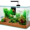 ZOLUX Aqua Clear 50 Noir Aquarium 32 L Avec éclairage LEDs Et Filtre Interne