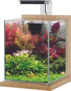 ZOLUX Jalaya 2 Chêne Clair 10 L Kit Nano-aquarium équipé Avec éclairage LEDs
