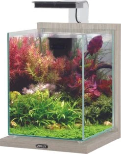 ZOLUX Jalaya 2 Zebrano Gris 10 L Kit Nano-aquarium équipé Avec éclairage LEDs