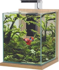 ZOLUX Jalaya XL Chêne Clair 18,7 L Kit Nano-aquarium équipé Avec éclairage LEDs