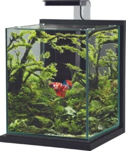 ZOLUX Jalaya XL Gris Anthracite 18,7 L Kit Nano-aquarium équipé Avec éclairage LEDs