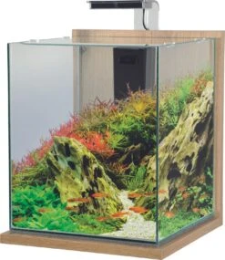 ZOLUX Jalaya XXL Chêne Clair 31,5 L Kit Nano-aquarium équipé Avec éclairage LEDs